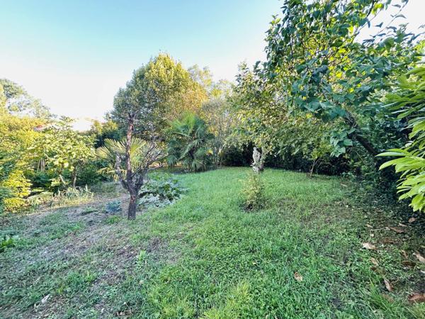 Vente / Maison ancienne