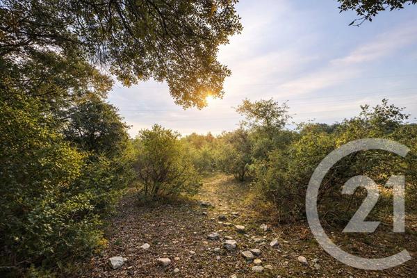 Terrain à vendre  71410 m2 SAUVE - 30