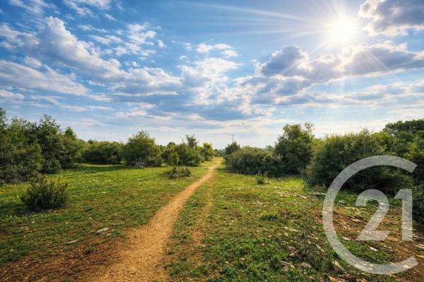 Terrain à vendre  71410 m2 SAUVE - 30