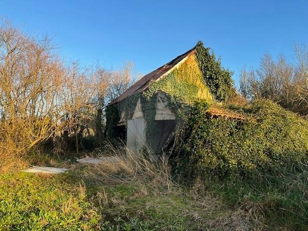 Appartement  en vente - Manche - 50