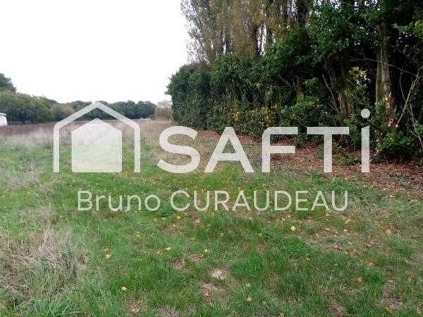 grand terrain constructible