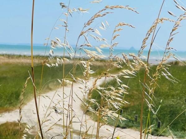 A vendre proche de CANCALE (35) murs et fonds bar-restaurant-chambres d'hôtes