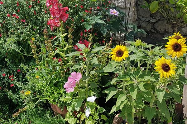 Quartier authentique de La Frandière