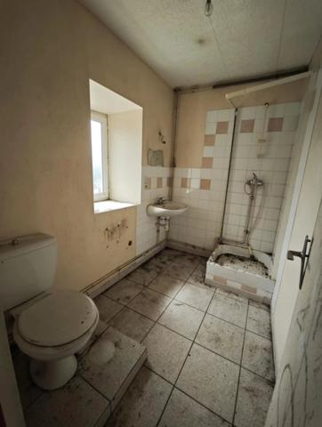 Vente Maison à Cercy-la-Tour