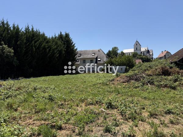 Terrain
        
        - 1156 m² 326 000 € *