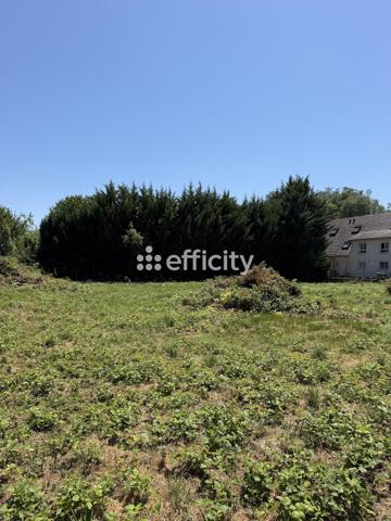 Terrain
        
        - 1156 m² 326 000 € *