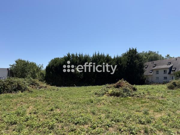 Terrain
        
        - 1156 m² 326 000 € *