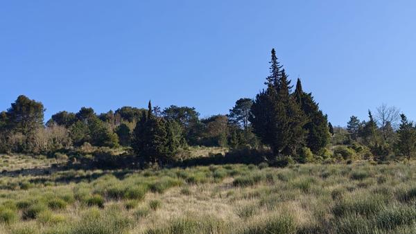 Proche Limoux - Terrain à bâtir de 2966m²