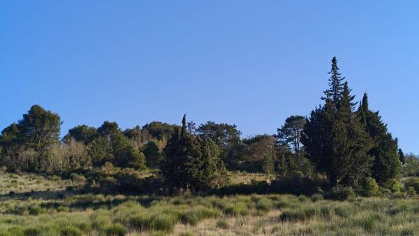 Proche Limoux - Terrain à bâtir de 2966m²