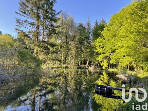 Terrain à vendre 54 604 m² Naves