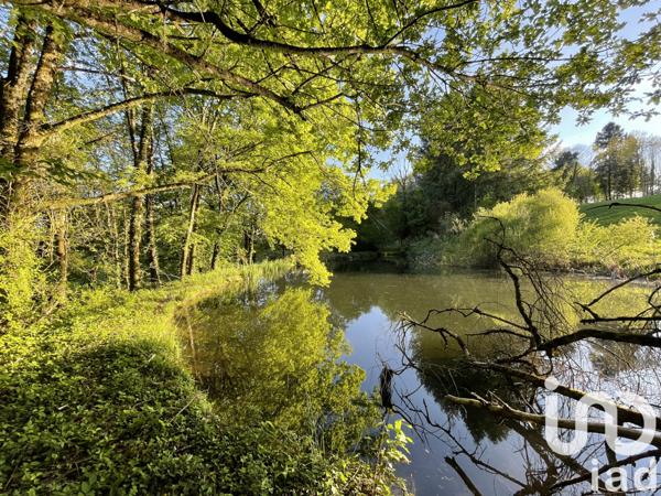 Terrain à vendre 54 604 m² Naves