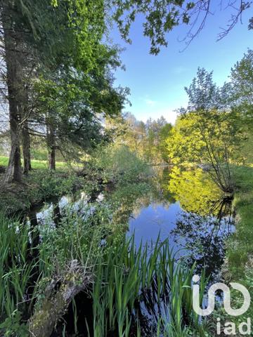 Terrain à vendre 54 604 m² Naves