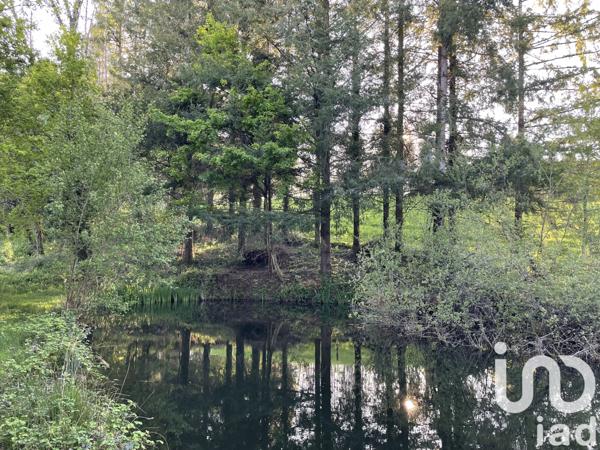 Terrain à vendre 54 604 m² Naves