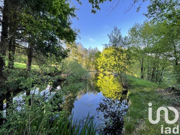 Terrain à vendre 54 604 m² Naves