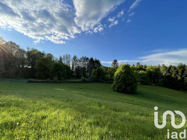 Terrain à vendre 54 604 m² Naves