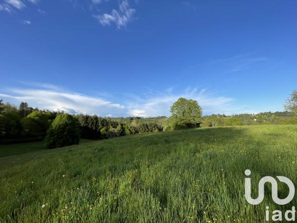 Terrain à vendre 54 604 m² Naves