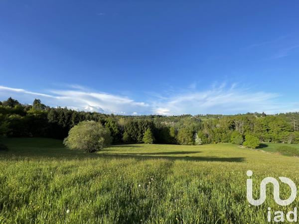 Terrain à vendre 54 604 m² Naves