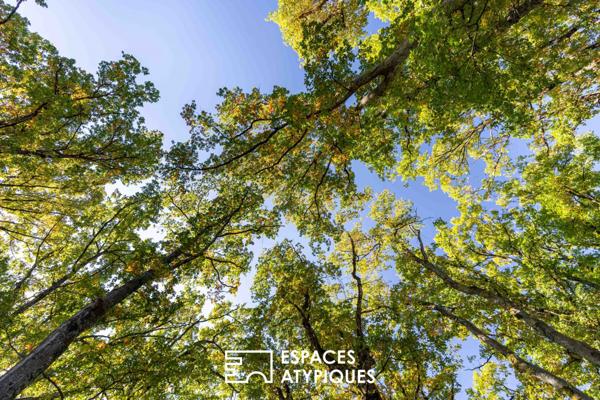 Basse-Goulaine : vaste demeure contemporaine de plain-pied avec parc boisé.