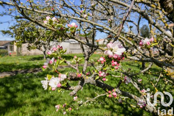 Terrain à vendre 697 m² Niort