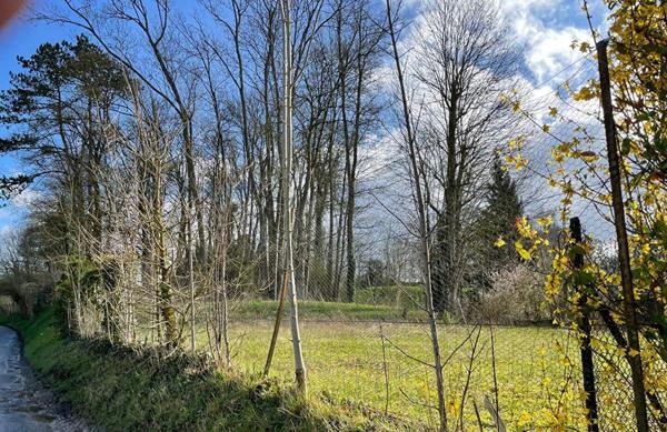 Vente Terrain 555 m2 à Bornel