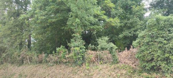 Vente Terrain 555 m2 à Bornel