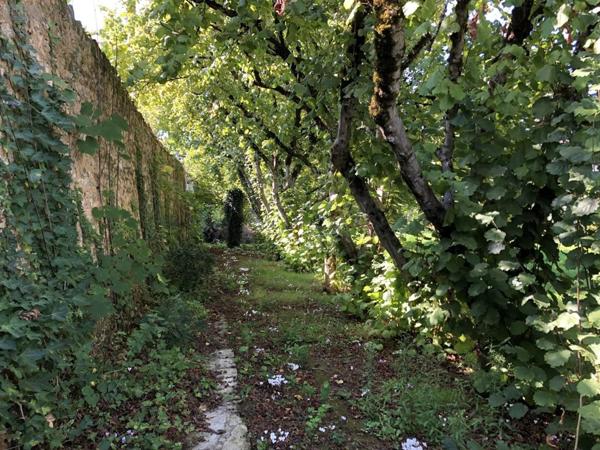 Maison à vendre à Saint-Benoît dans la Vienne (86280), ref : 018/1013