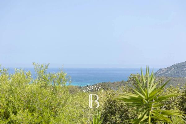 Porto-Vecchio, Propriété 4 Chambres -  254 m² à vendre