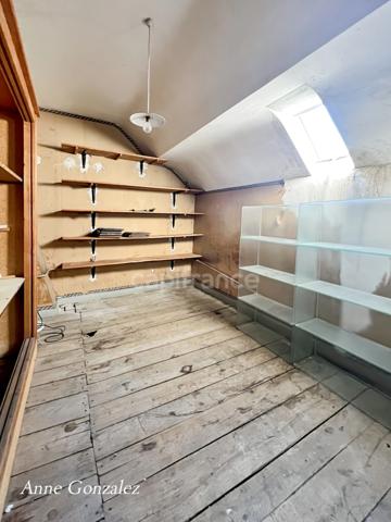 Maison Bourgeoise rénovée à vendre 8 pièces OLIVET (45) Parc arboré de 1780 m², dépendances.