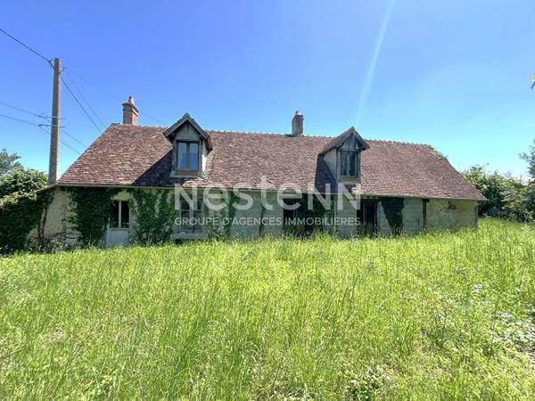 LONGERE AVEC POTENTIEL À VENDRE 2 CHAMBRES ET TEERAIN EN CAMPAGNE PROCHE CHABRIS (INDRE 36)