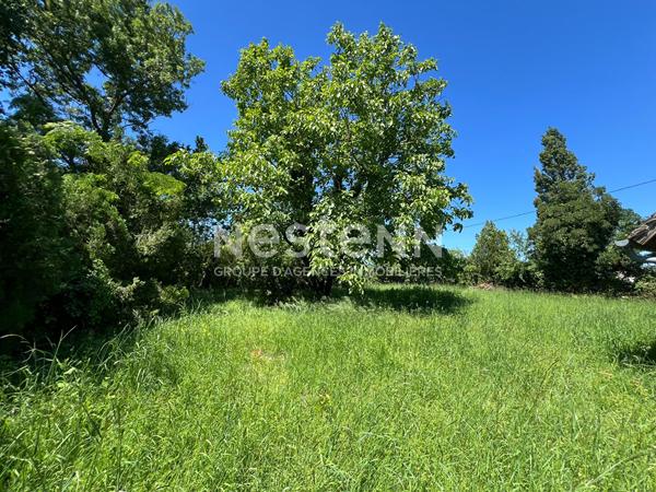LONGERE AVEC POTENTIEL À VENDRE 2 CHAMBRES ET TEERAIN EN CAMPAGNE PROCHE CHABRIS (INDRE 36)