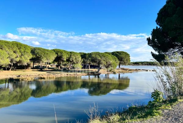 Appartement à vendre 4 pièces LA GRANDE MOTTE (34)