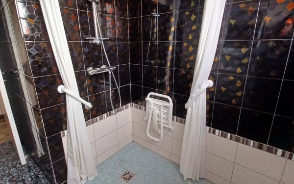 Maison à vendre    4 pièces •  Saint-Benoît-du-Sault