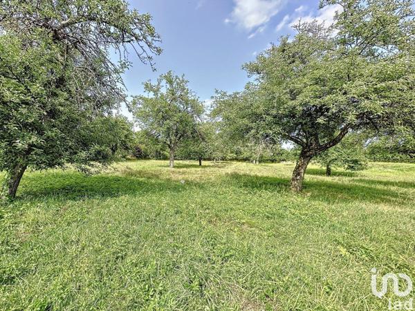 Terrain à vendre 3 129 m² La Selle-en-Hermoy