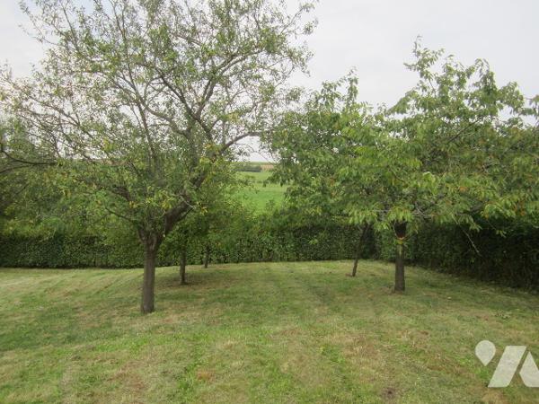 grande maison 164 m2 3 chambres beaucoup de possibilités d'aménagement.