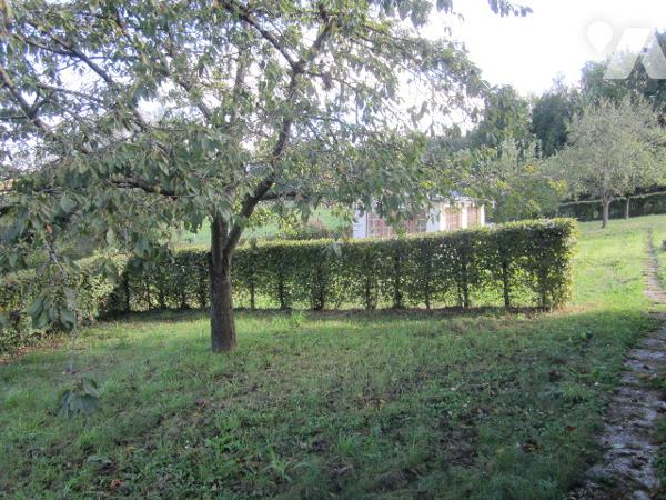 grande maison 164 m2 3 chambres beaucoup de possibilités d'aménagement.