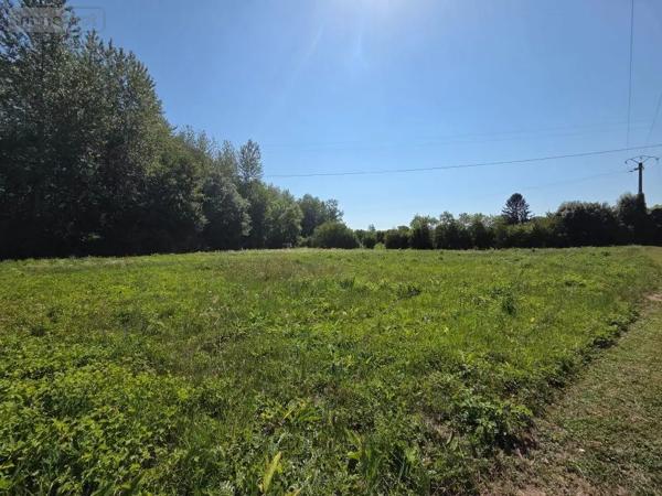 Achat - Bien agricole | Terrain agricole Bar-sur-Seine 10110 11115 m 2