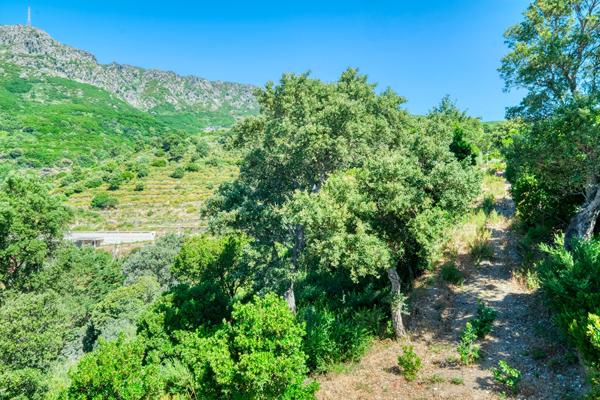 Vente Terrain Constructible Lotissement de Standing Vue Mer Bastia