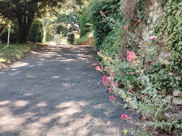 A vendre, Villa d'architecte dans un havre de paix situé à Migné Auxances