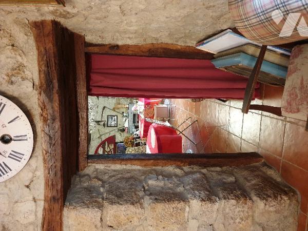 SAINT-GIRONS : Maison de caractère (14 pièces) et maison individuelle (8 pièces) dans parc de 4 ha.