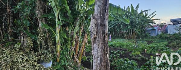 Terrain à vendre 721 m² Saint-Denis