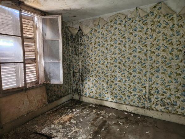 Achat - Immeuble | Local mixte (Pro/Hab) Bar-sur-Aube 10200 10 pièces 530 m 2 514 m 2