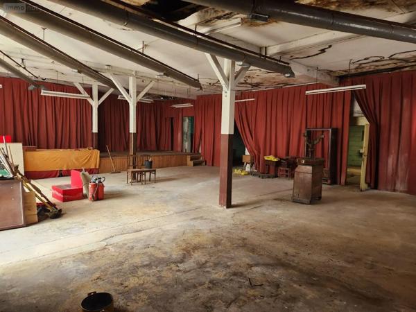 Achat - Immeuble | Local mixte (Pro/Hab) Bar-sur-Aube 10200 10 pièces 530 m 2 514 m 2