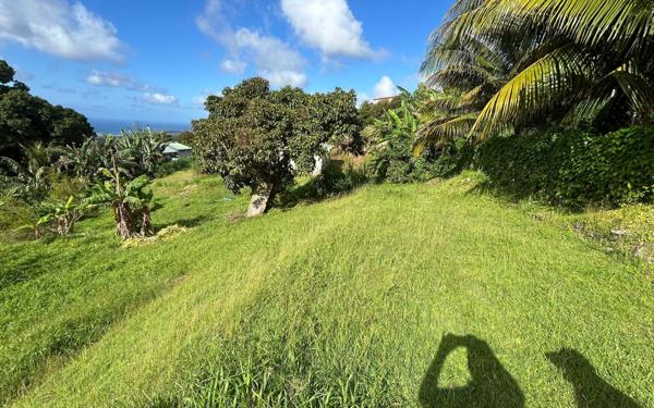Terrain à vendre    Sainte-Luce