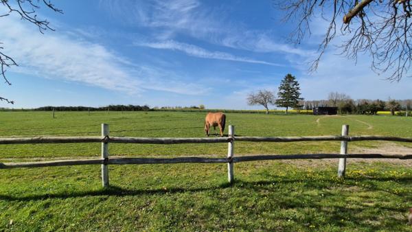 Maison 7 pièces - 244 m²