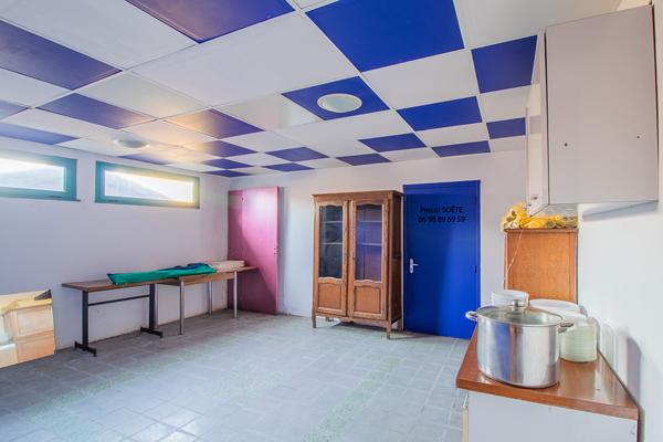 Immeuble à usage mixte,11 pièces, 300 m2