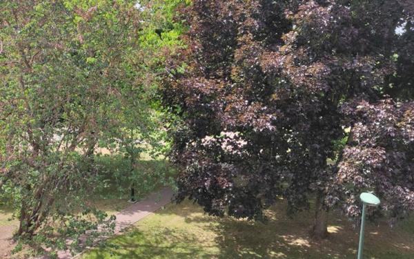 Appartement à louer    2 pièces • 43,45 m2 Chennevières-sur-Marne