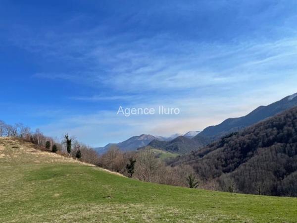 Demeures de prestige - Vallee d'ossau - Réf.:205343 AU COEUR DE LA VALLEE D'OSSAU - A VENDRE ENSEMBLE IMMOBILIER RENOVE SUR TERRES LIBRES DE 20 HECTARES AVEC VUE MAGNIFIQUE SUR LES PYRENEES - SITE UNIQUE DANS LE BEARN -