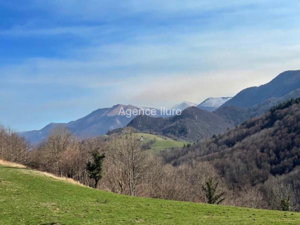 Demeures de prestige - Vallee d'ossau - Réf.:205343 AU COEUR DE LA VALLEE D'OSSAU - A VENDRE ENSEMBLE IMMOBILIER RENOVE SUR TERRES LIBRES DE 20 HECTARES AVEC VUE MAGNIFIQUE SUR LES PYRENEES - SITE UNIQUE DANS LE BEARN -
