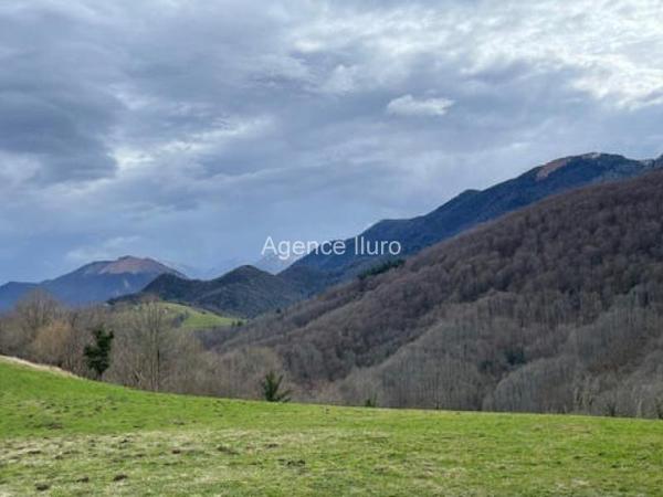 Demeures de prestige - Vallee d'ossau - Réf.:205343 AU COEUR DE LA VALLEE D'OSSAU - A VENDRE ENSEMBLE IMMOBILIER RENOVE SUR TERRES LIBRES DE 20 HECTARES AVEC VUE MAGNIFIQUE SUR LES PYRENEES - SITE UNIQUE DANS LE BEARN -