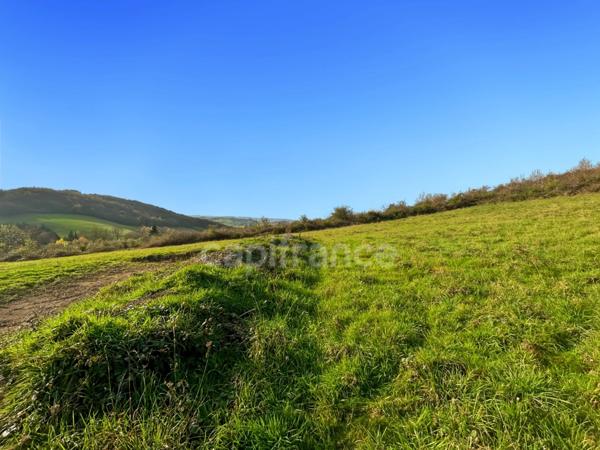 Terrain à vendre MONTCENIS (71)